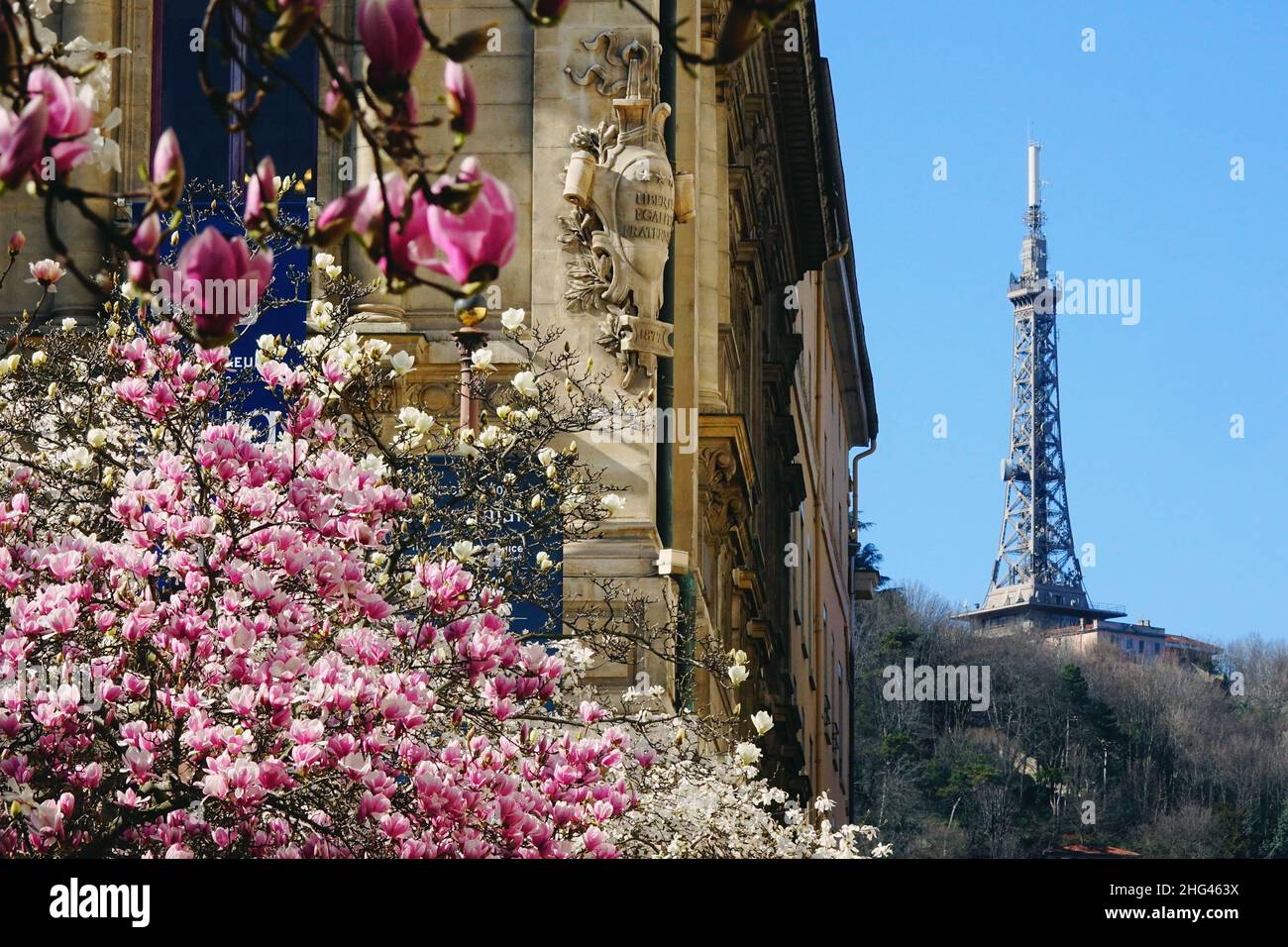 Albero di magnolie e antenna a forma di torre Eiffel a Lione, Francia Foto Stock