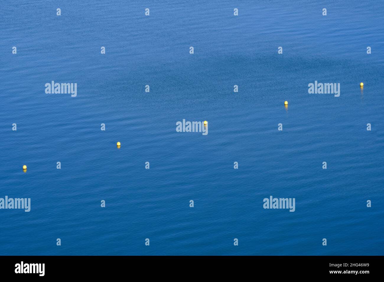 linea di galline gialle nell'acqua. Delimitare gli spazi acquatici Foto Stock