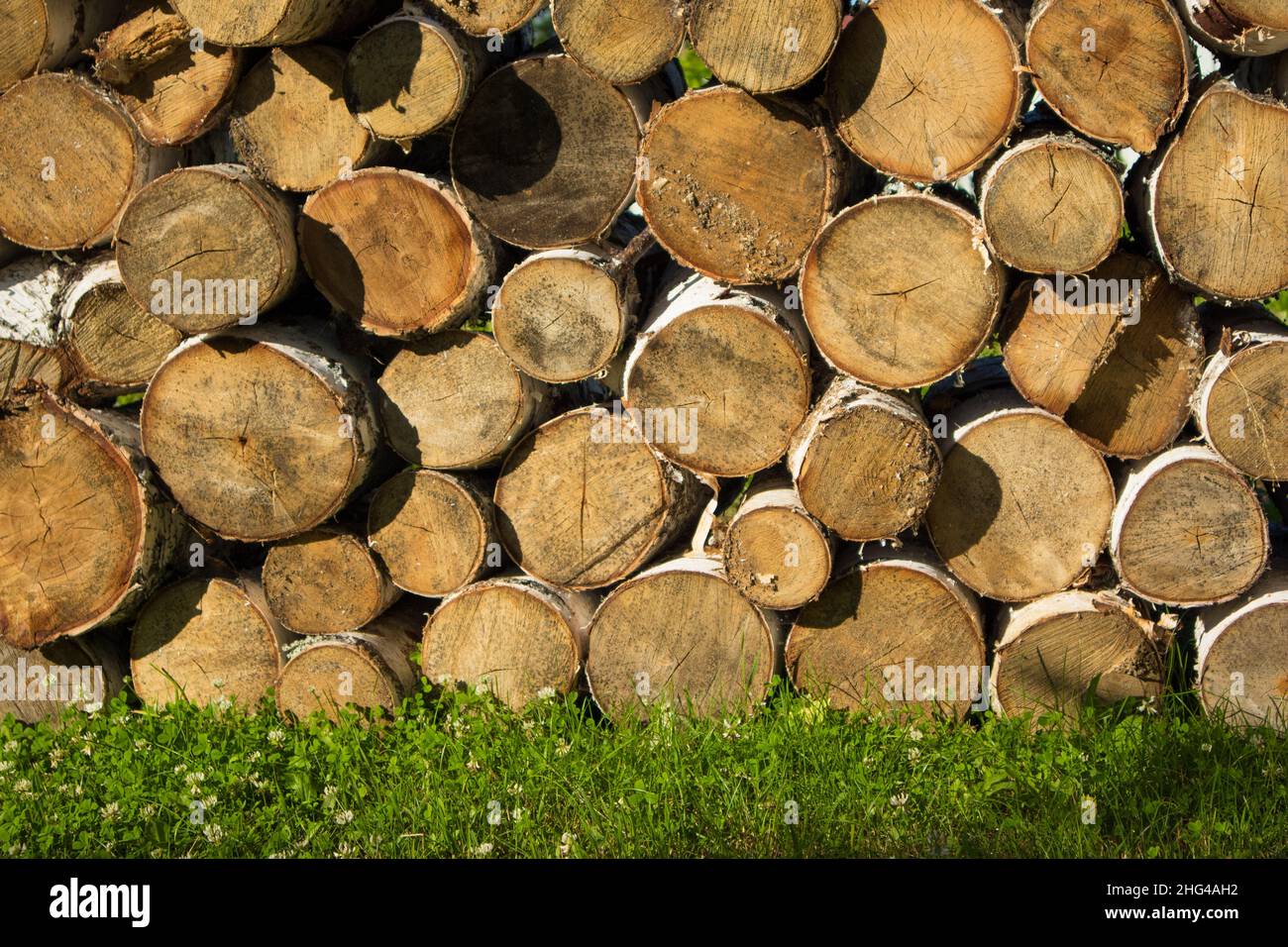 Pila di legno sull'erba. Cumulo di legno nel villaggio Foto Stock