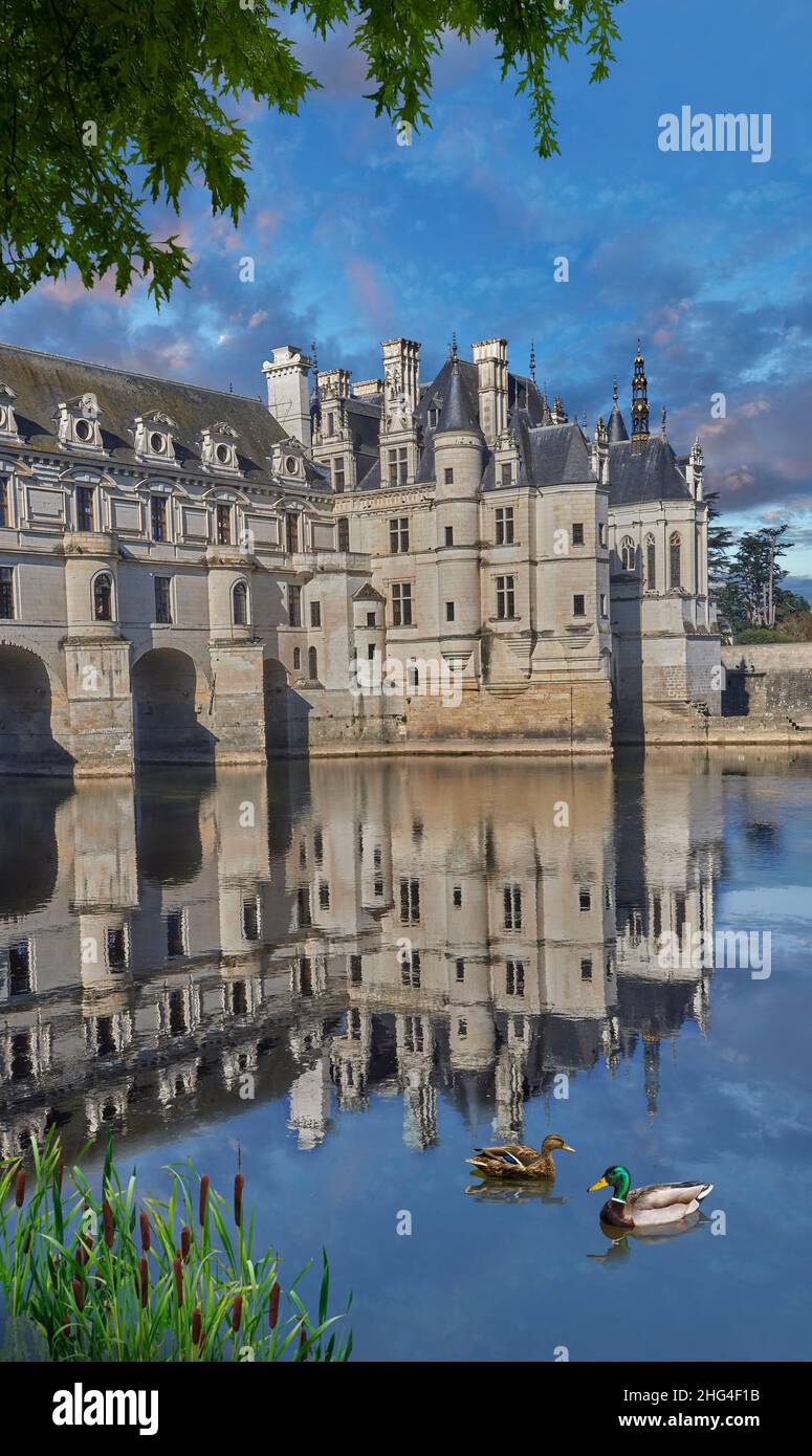 Il Renaissance Chateau de Chenonceau che attraversa il fiume Cher, Indre-et-Loire, costruito nel 1514–1522. Il ponte sul fiume è stato costruito (1556-1559) a. Foto Stock