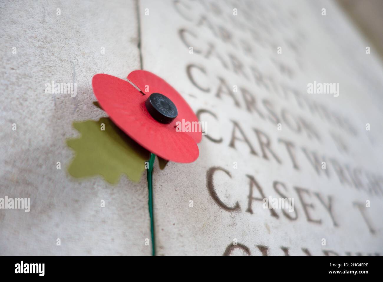 Un papavero artificiale è fissato davanti alle iscrizioni alla porta Menin a Ypres, in Belgio. Foto Stock