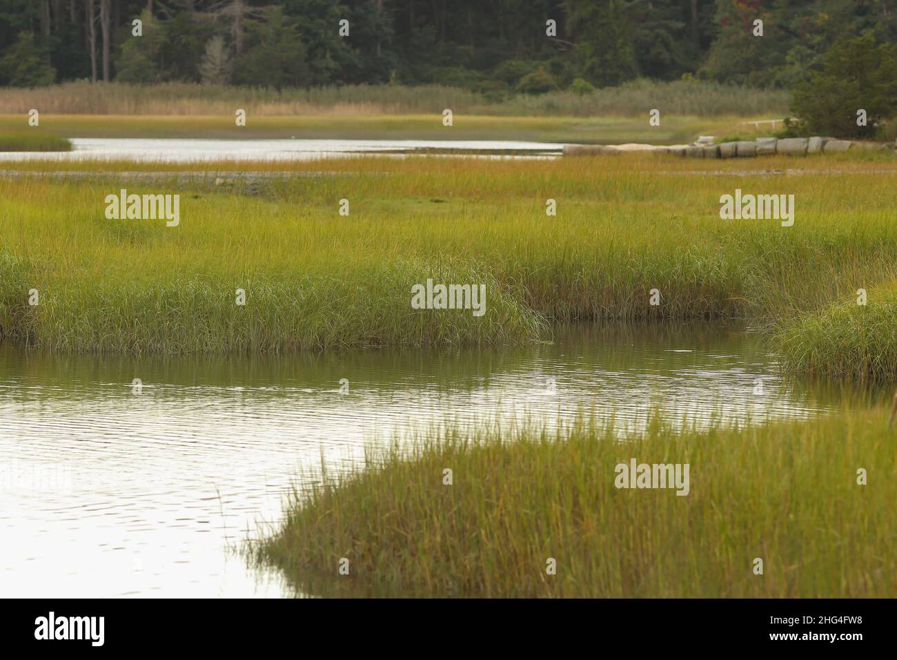 Ettari di zone umide, uccelli, paludi lungo la costa nord-orientale del Massachusetts. Posizione a North Shore a nord di Boston. Il porto marittimo più famoso d'America. Foto Stock