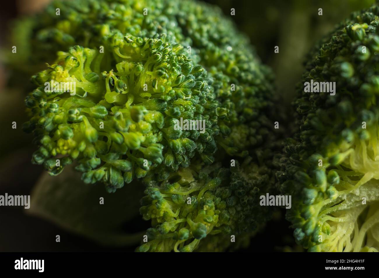 Broccoli verdi congelati su fondo scuro closup. Foto Stock