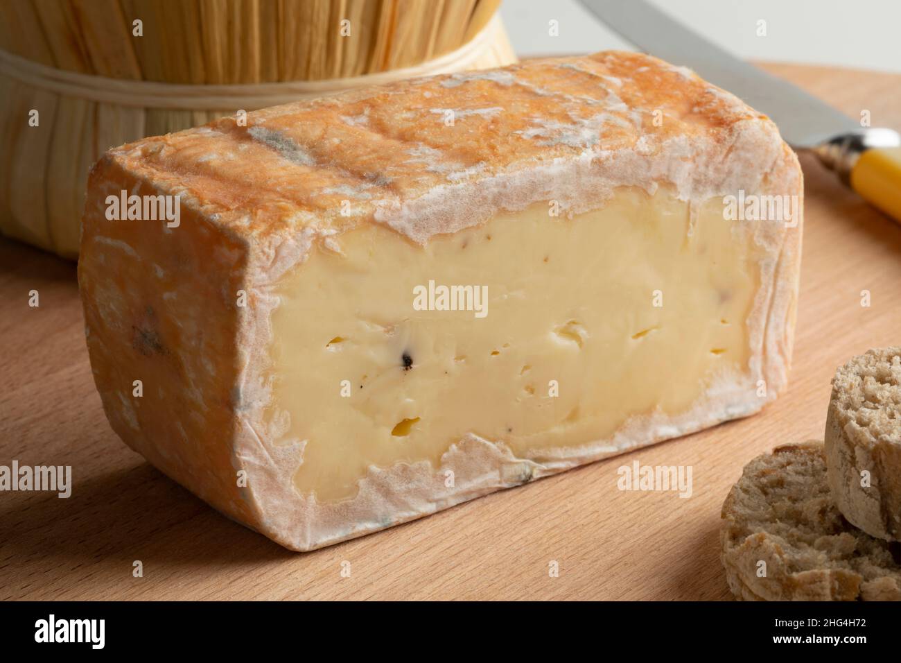 Pezzo di semisoft taleggio italiano con tubero su tagliere da vicino Foto Stock