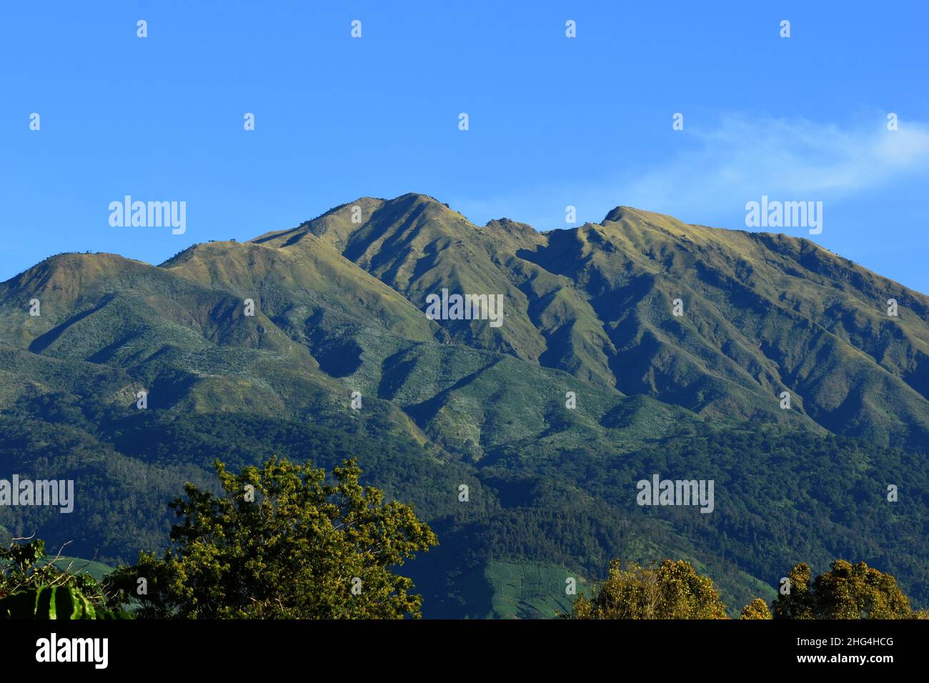 Monte Merbabu picco al mattino. Foto Stock