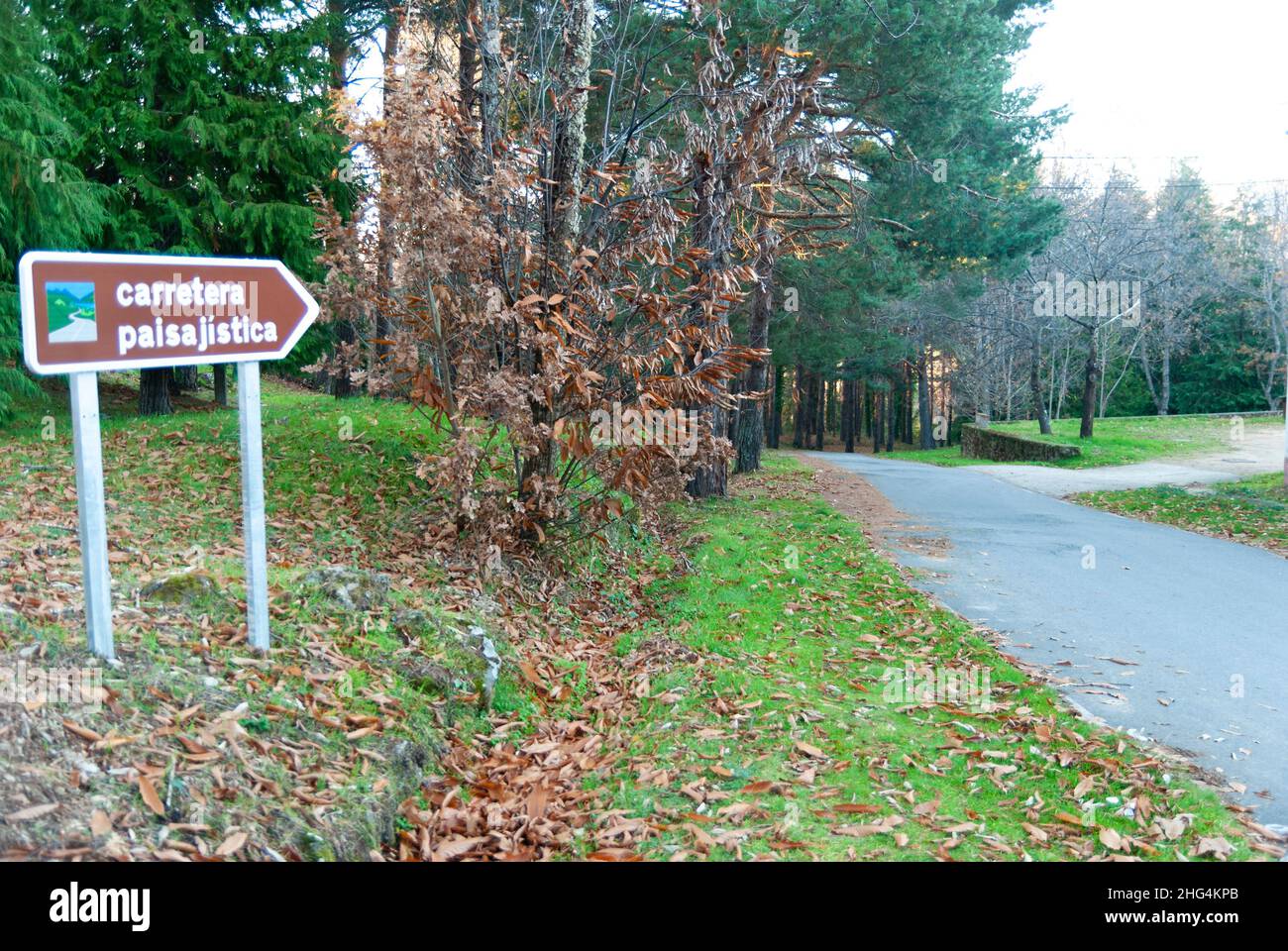 Segnaletica su strada di montagna con vegetazione in autunno che indica strada paesaggistica Foto Stock