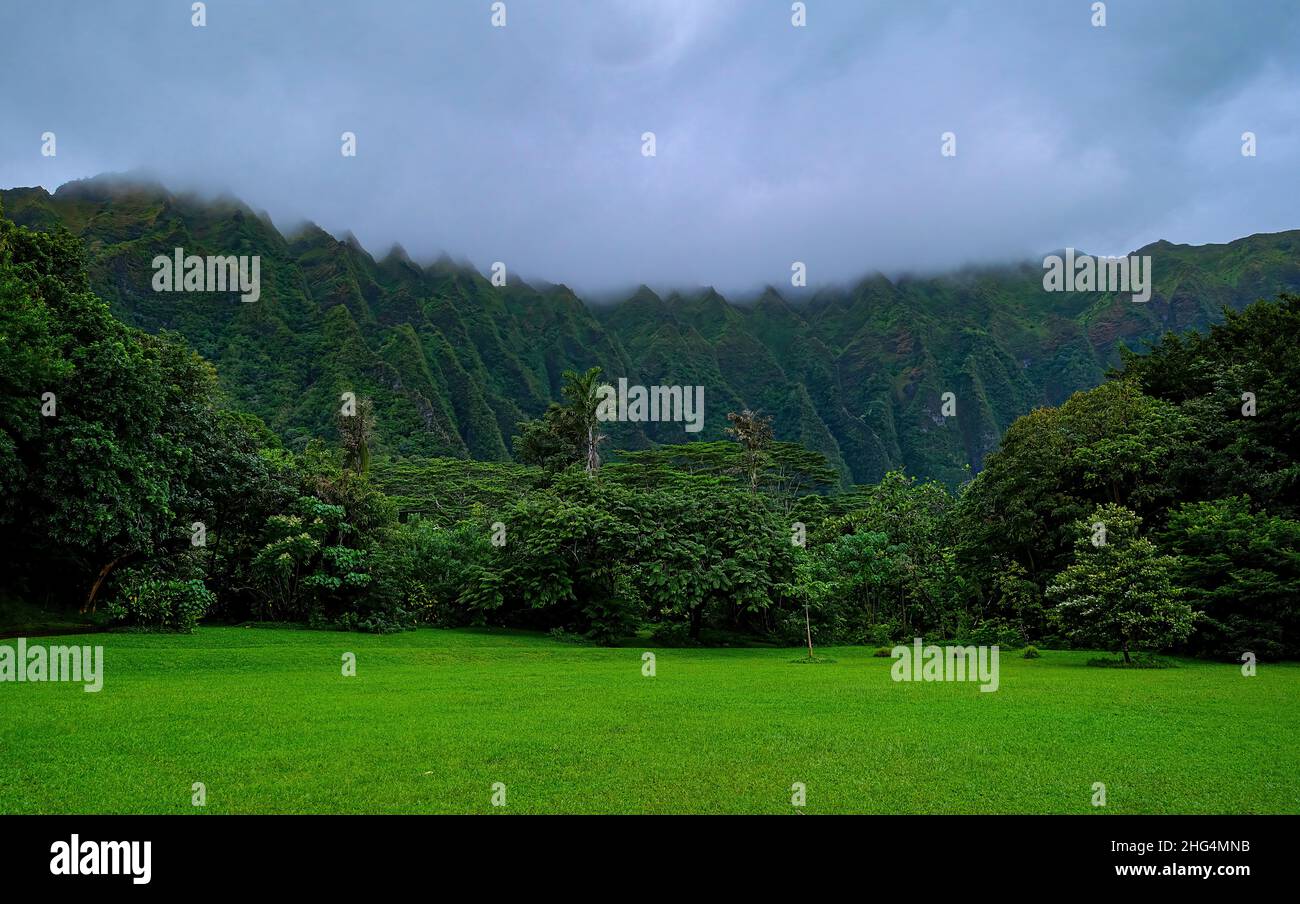 Prato verde di fronte al Koo'lau Range sull'Isola di Oahu delle Hawaii Foto Stock