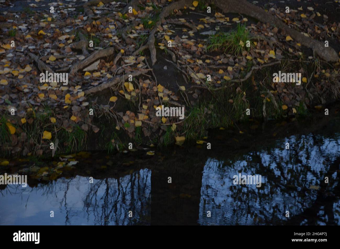 Foto scattate al tramonto durante una passeggiata attraverso il bellissimo Parco degli acquedotti di Roma, con le maestose rovine di antichi acquedotti e alberi romani Foto Stock