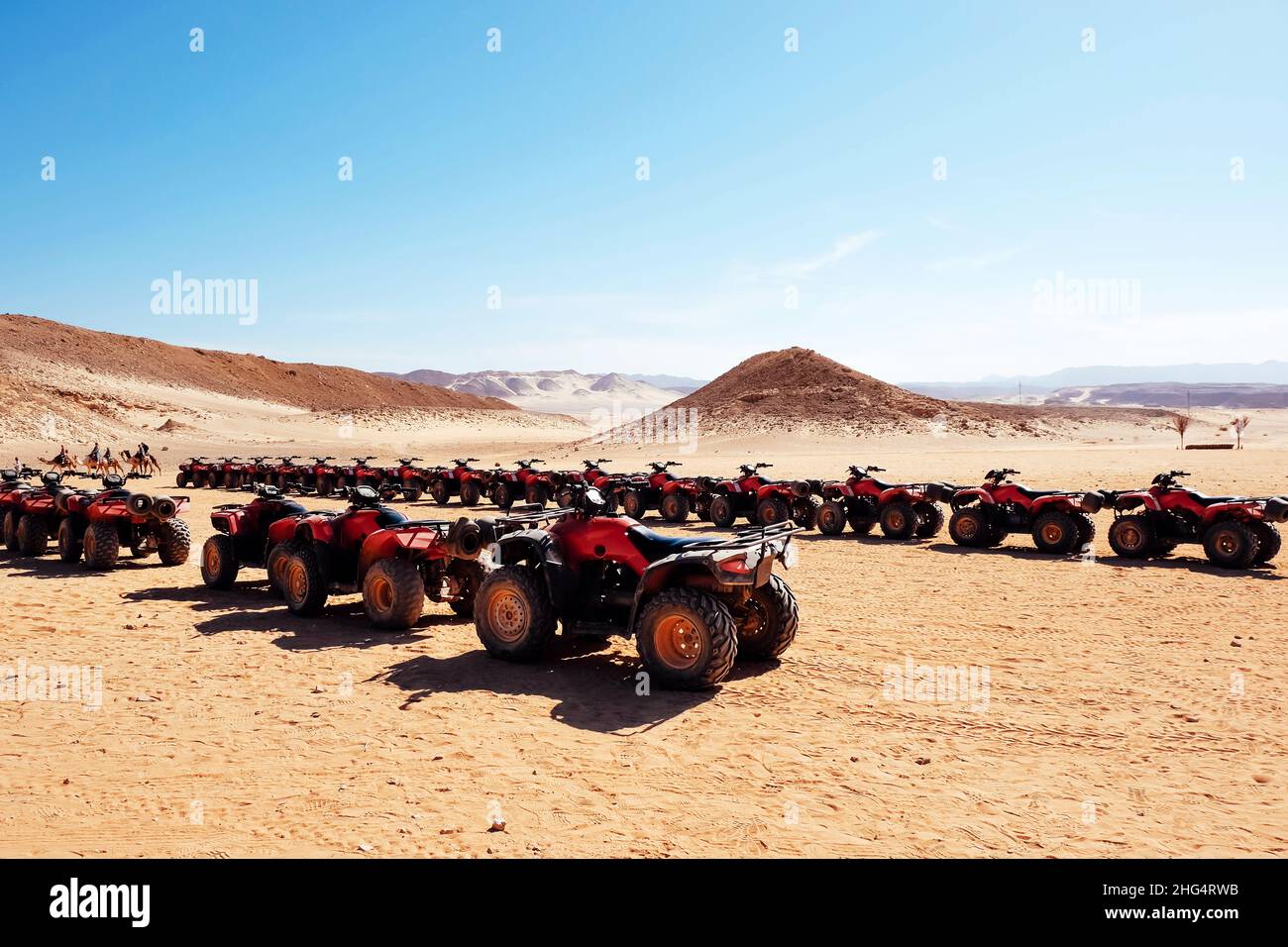 Quad ATV per safari nel deserto. Egitto. Foto Stock