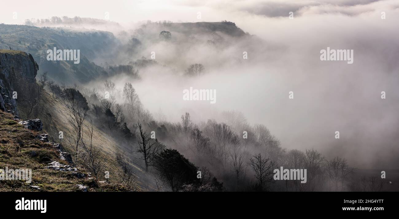 Scout Scar, Cumbria, Inghilterra, come il sole ha rotto attraverso la nebbia 18th gennaio 2022. Preso dal bordo delle scogliere guardando verso est con gli inverni sole basso sopra l'orizzonte, raccogliendo gli alberi nella nebbia. Credit: Russell Millner/Alamy Live News Foto Stock