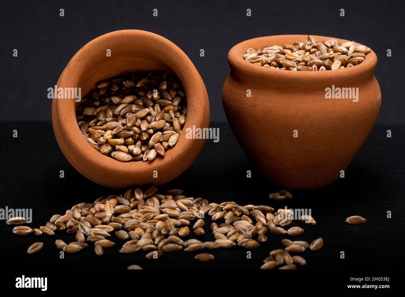 Emmer grano o frumento hulled nei pentole Foto Stock