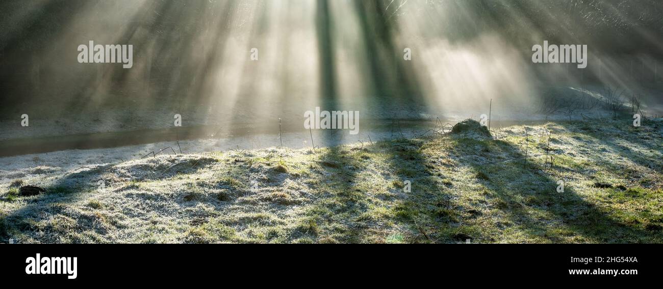 Una mattinata gelida e ruscello con luce del sole e raggi che brillavano attraverso gli alberi coperti nella nebbia di mattina d'inverno, Inghilterra, Cotswolds, Regno Unito Foto Stock