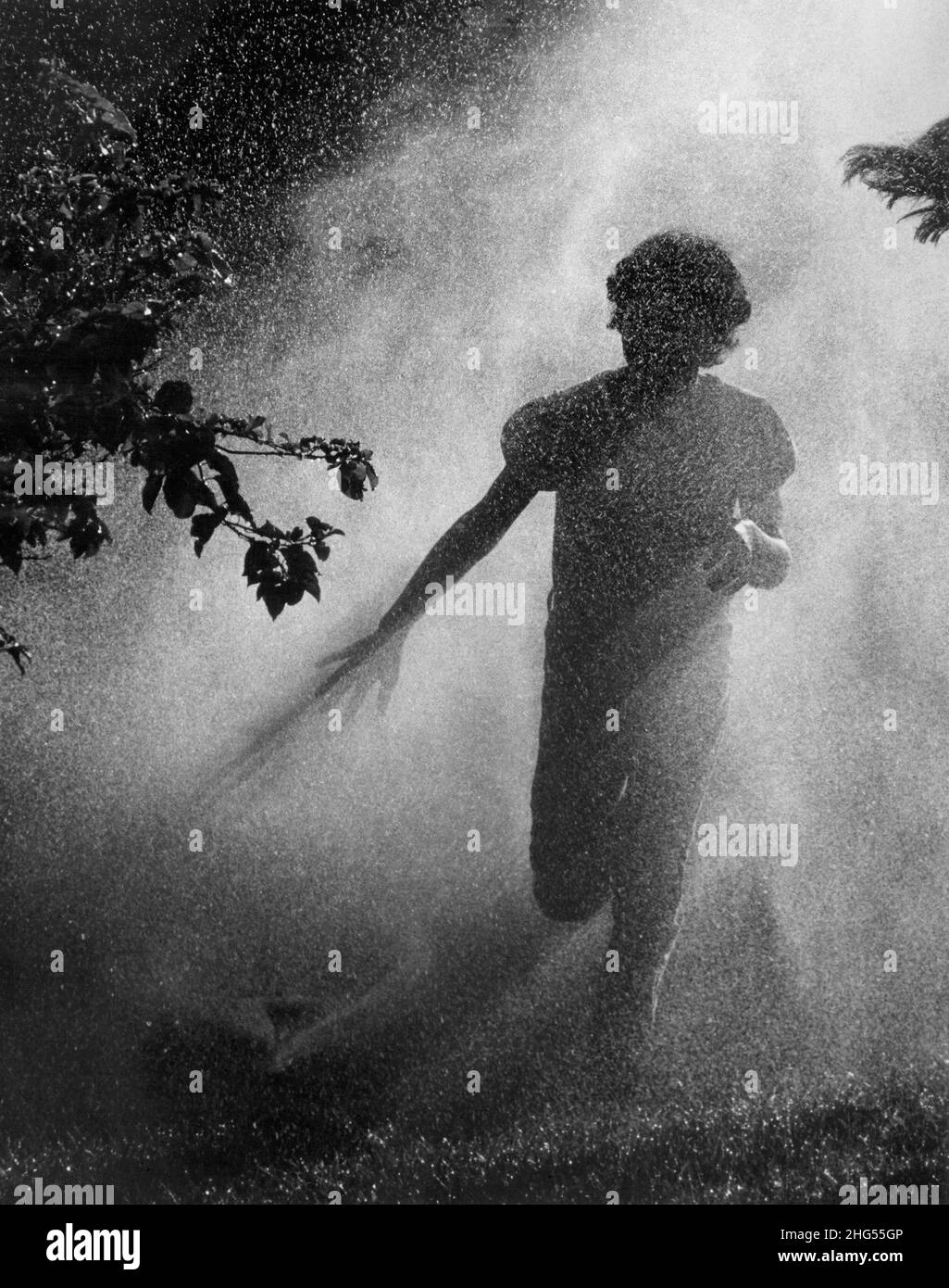 Il ragazzo corre attraverso un irrigatore nel tardo pomeriggio. Circa anni '70. Foto Stock