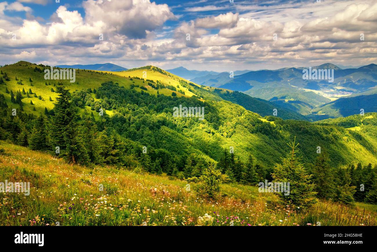 Paesaggio illuminato dal sole con prati fioriti e le cime delle montagne, cielo blu con le nuvole sullo sfondo, Slovacchia, Europa. Foto Stock