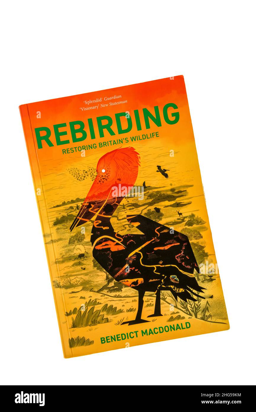 Una copia cartacea di Rebirding Restoring Britain's Wildlife di Benedict MacDonald. Pubblicato per la prima volta nel 2020. Foto Stock