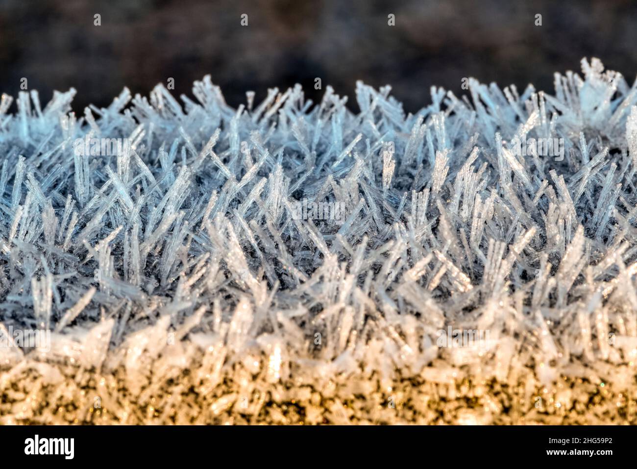 Primo piano macro foto di gelo su un cancello di legno in una fredda mattina invernale. Foto Stock