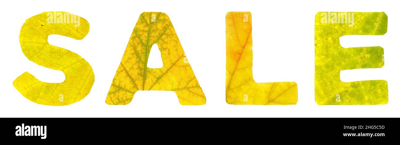 La parola vendita che è composto dalle lettere scolpite di foglie d'autunno, isolato su sfondo bianco, primo piano Foto Stock