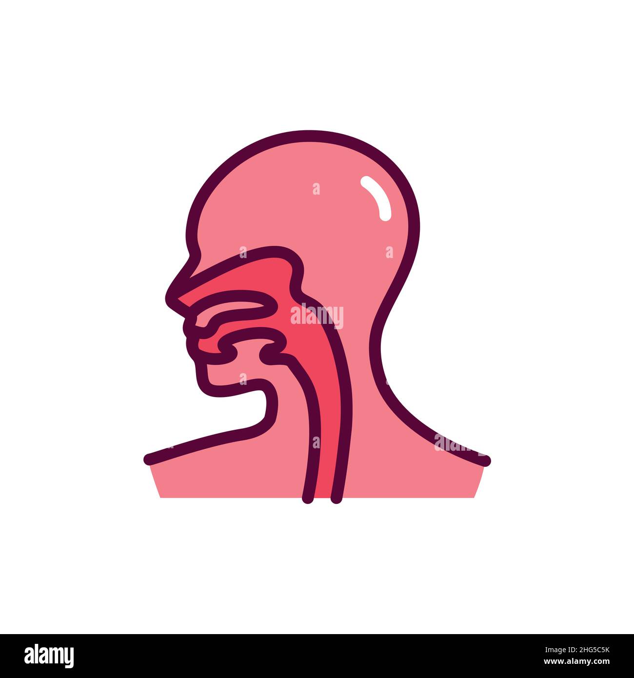 Icona della linea di colore esofago dell'organo umano. Elemento vettoriale isolato. Pittogramma a contorno per pagina web, app mobile, promo Illustrazione Vettoriale