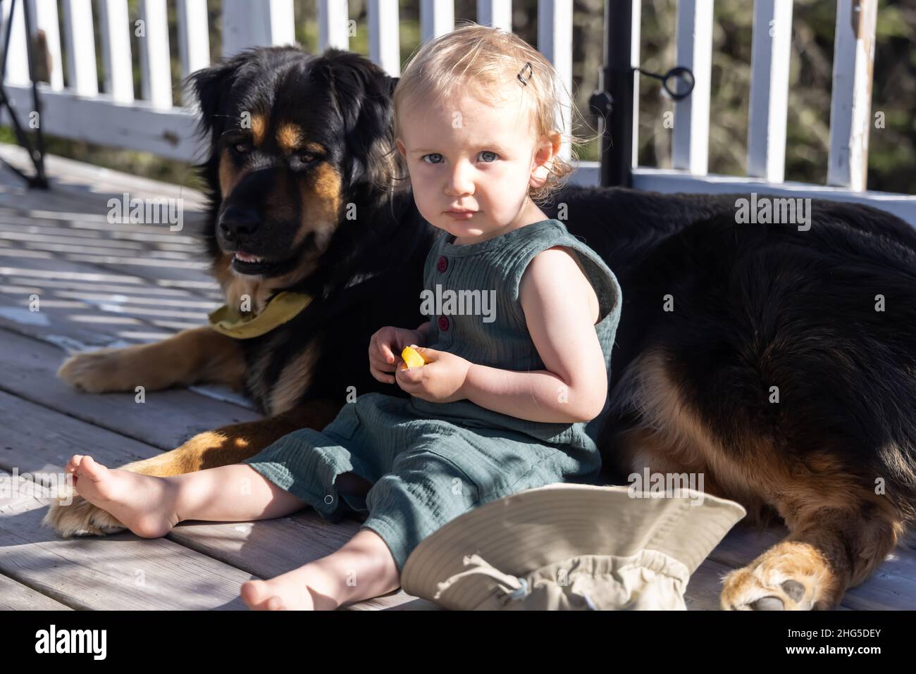 Ritratto di un ragazzo giovane carino con capelli biondi seduto sul ponte con un grande cane di famiglia durante una luminosa giornata di sole. Bambino e amico canino. Foto Stock