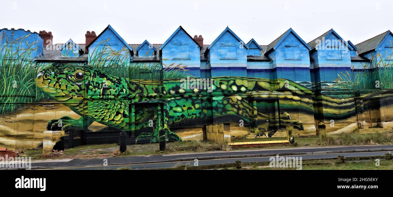 Toad Hall, edificio abbandonato Ainsdale Beach, Merseyside, trasformato dall'artista di strada Paul Curtis Foto Stock