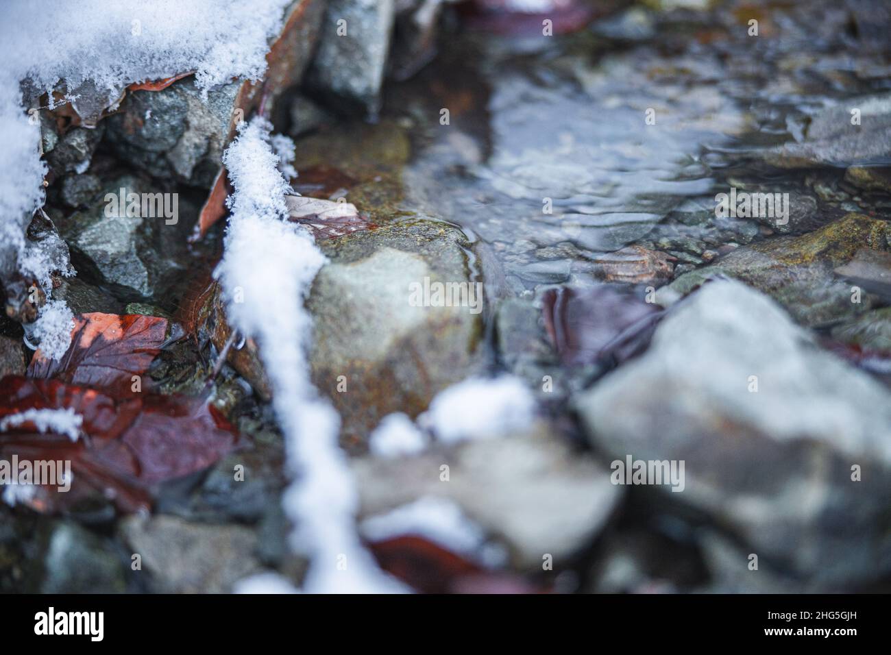 Fiume naturale che scorre sulle rocce. Le rocce e il terreno sono coperti di neve bianca. Stagione invernale. Foto di alta qualità Foto Stock