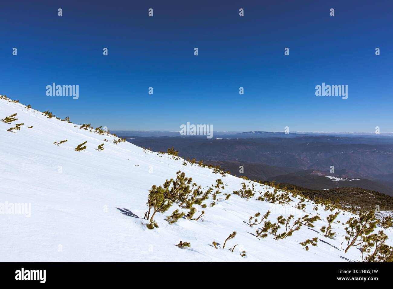 Splendida collina di montagna in Bulgaria. Coperto di neve bianca cima di montagna. Gli alberi sono coperti sotto di esso. Cielo blu sopra. Foto di alta qualità Foto Stock