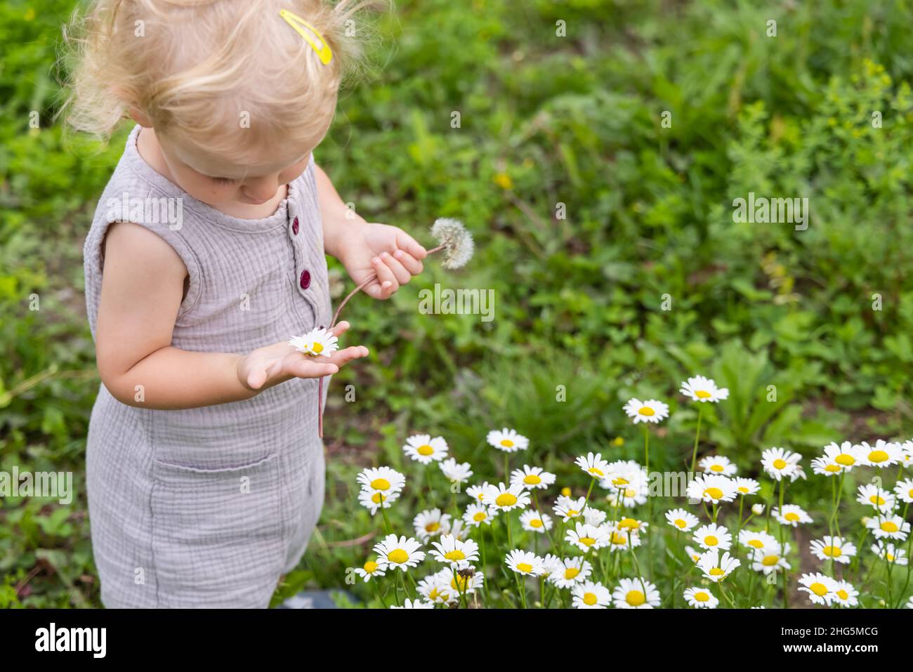 Primo piano di un innocente ragazzo di 3 anni, raccolta di fiori in un prato di fiori selvatici durante la primavera con spazio copia a destra e sfondo verde sfocato. Foto Stock
