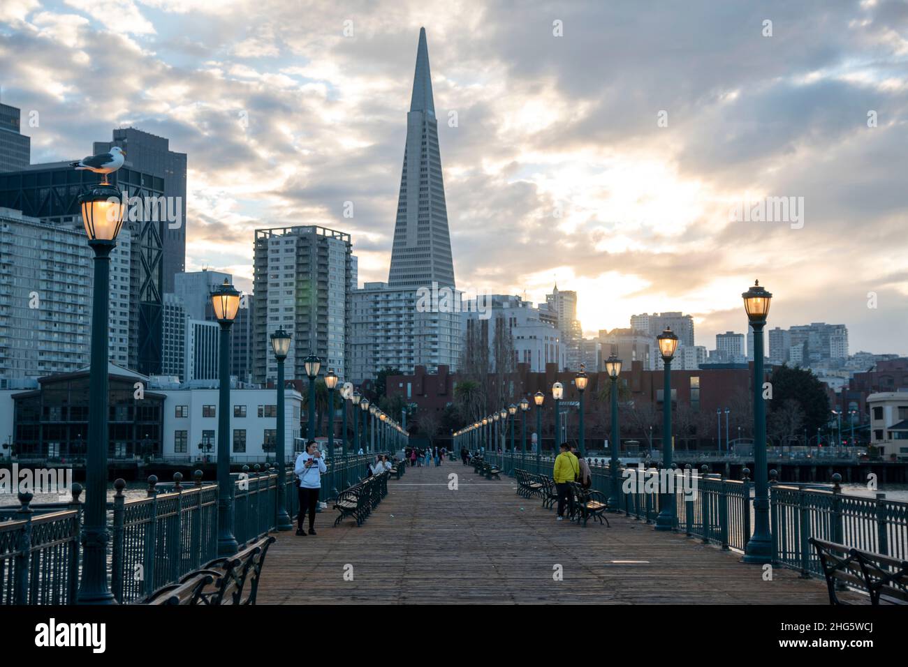 Pier 7 è un famoso luogo di fotografia a San Francisco, CA, USA per la sua relazione con la Piramide Transamerica. Foto Stock