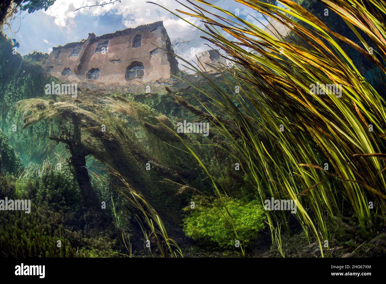 Vista subacquea dei giardini di Ninfa, un monumento naturale creato dalla famiglia Caetani. Questo scatto fa parte di un lavoro commissionato dal Roffredo CA Foto Stock