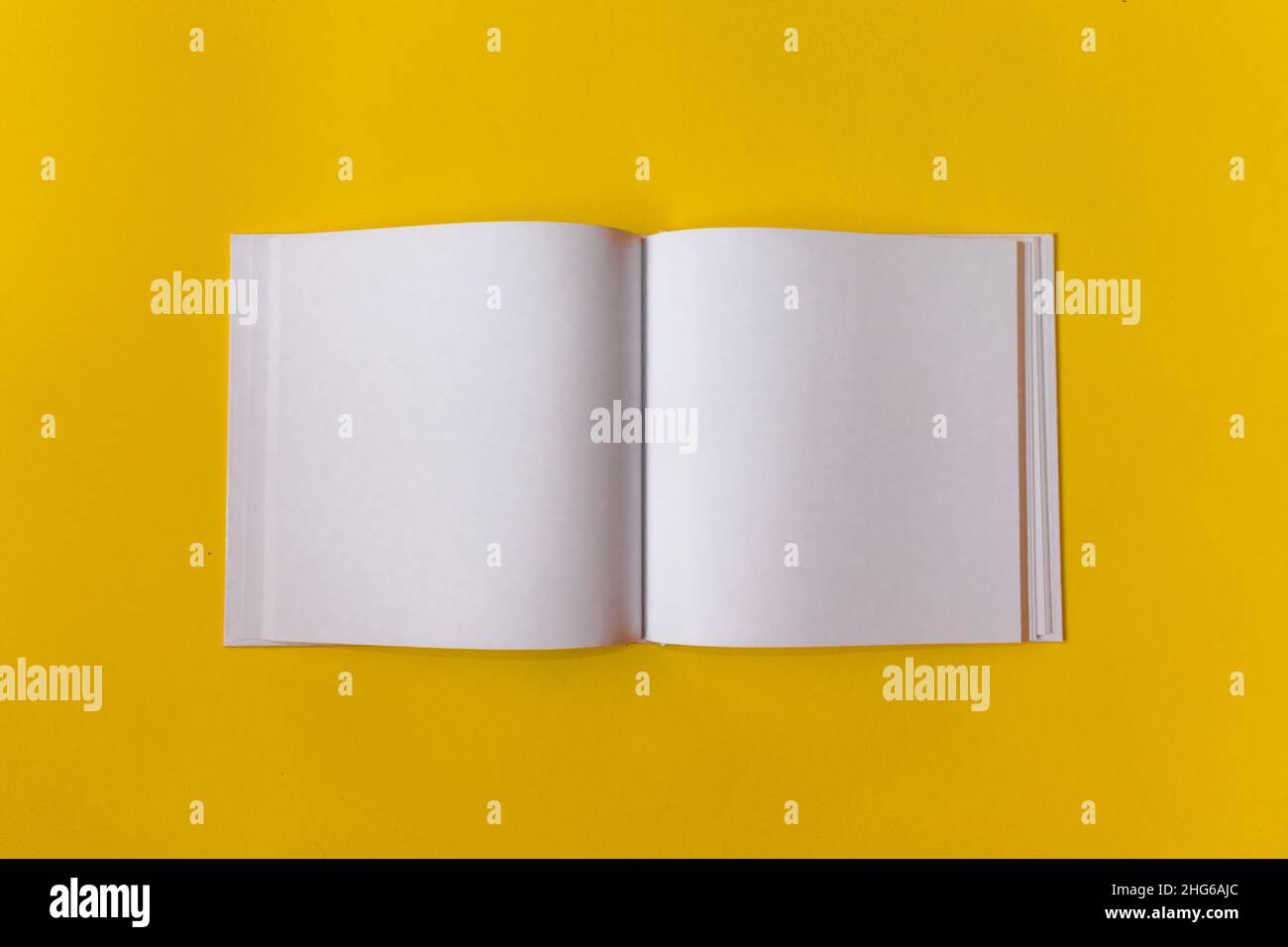 Blocco note per le note con spazio vuoto per il testo. Sfondo giallo. Foto Stock