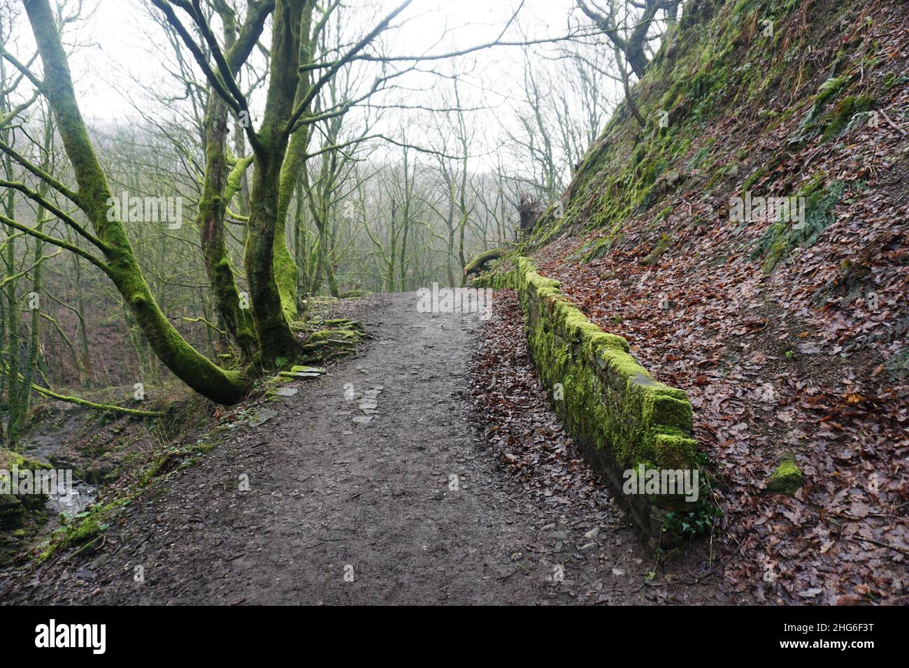 Strada verso il nulla Foto Stock