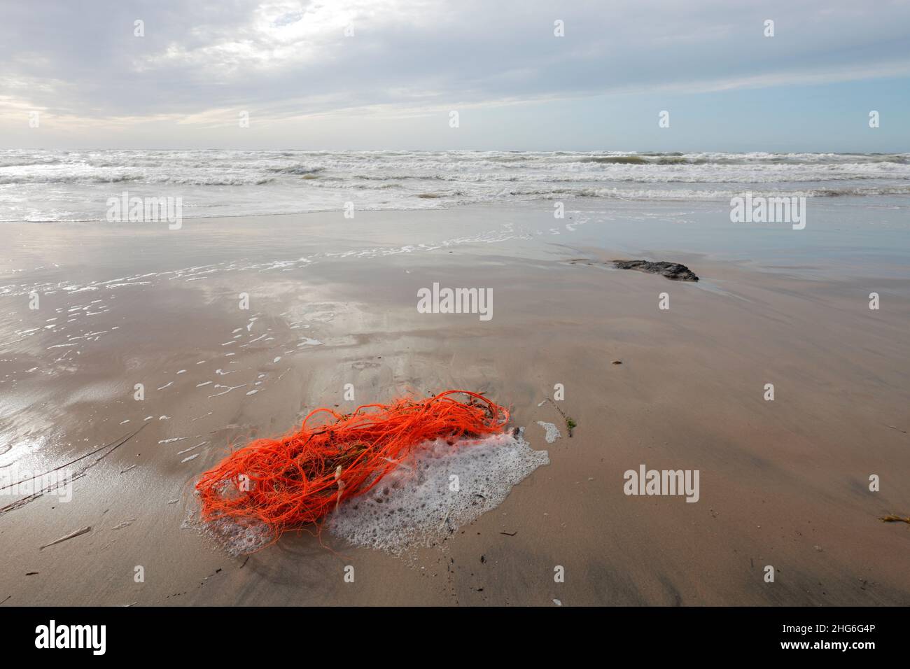 Rete da pesca bloccata sulla spiaggia vicino Lonstrup, Danimarca Foto Stock