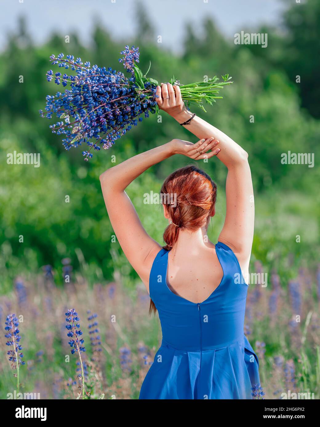 Giovane donna sottile in abito blu con bouquet di fiori blu. Vista posteriore della ragazza in estate natura. Foto Stock