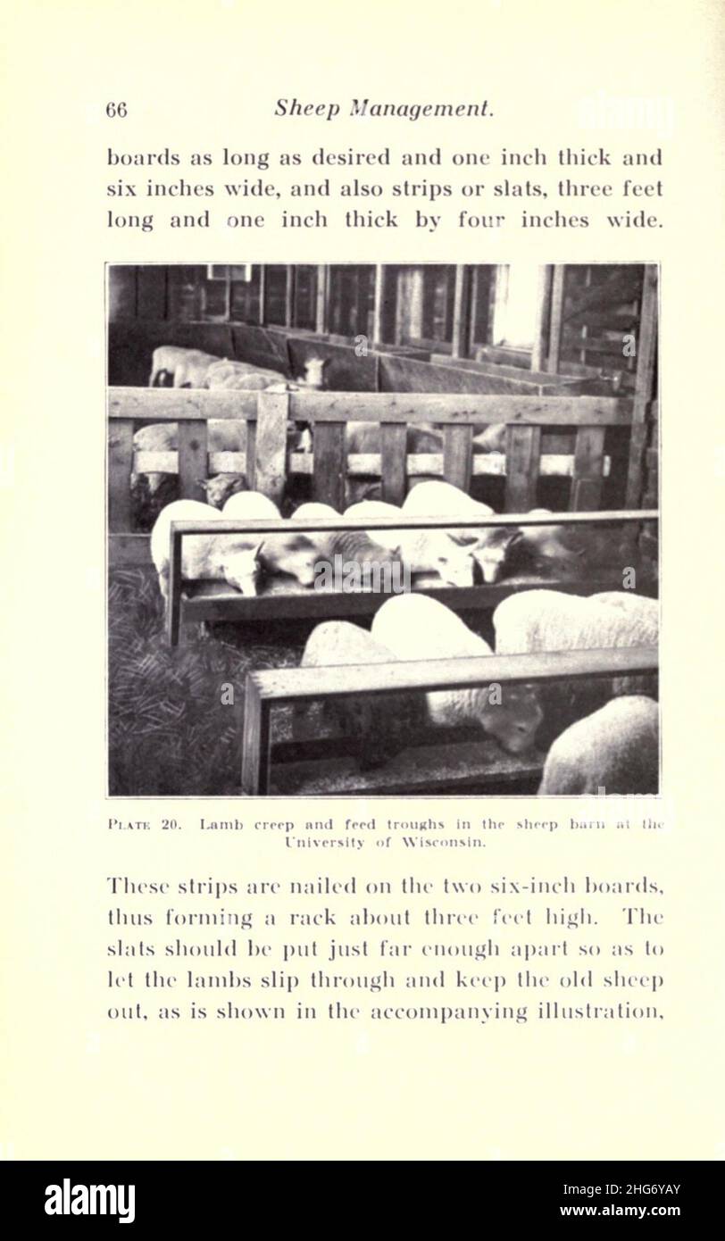 Gestione degli ovini (pagina 66) Foto Stock