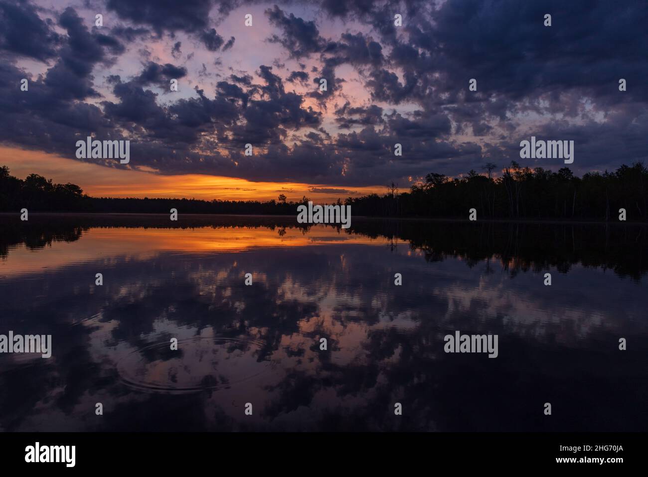 Alba su un lago selvaggio nel Wisconsin settentrionale. Foto Stock