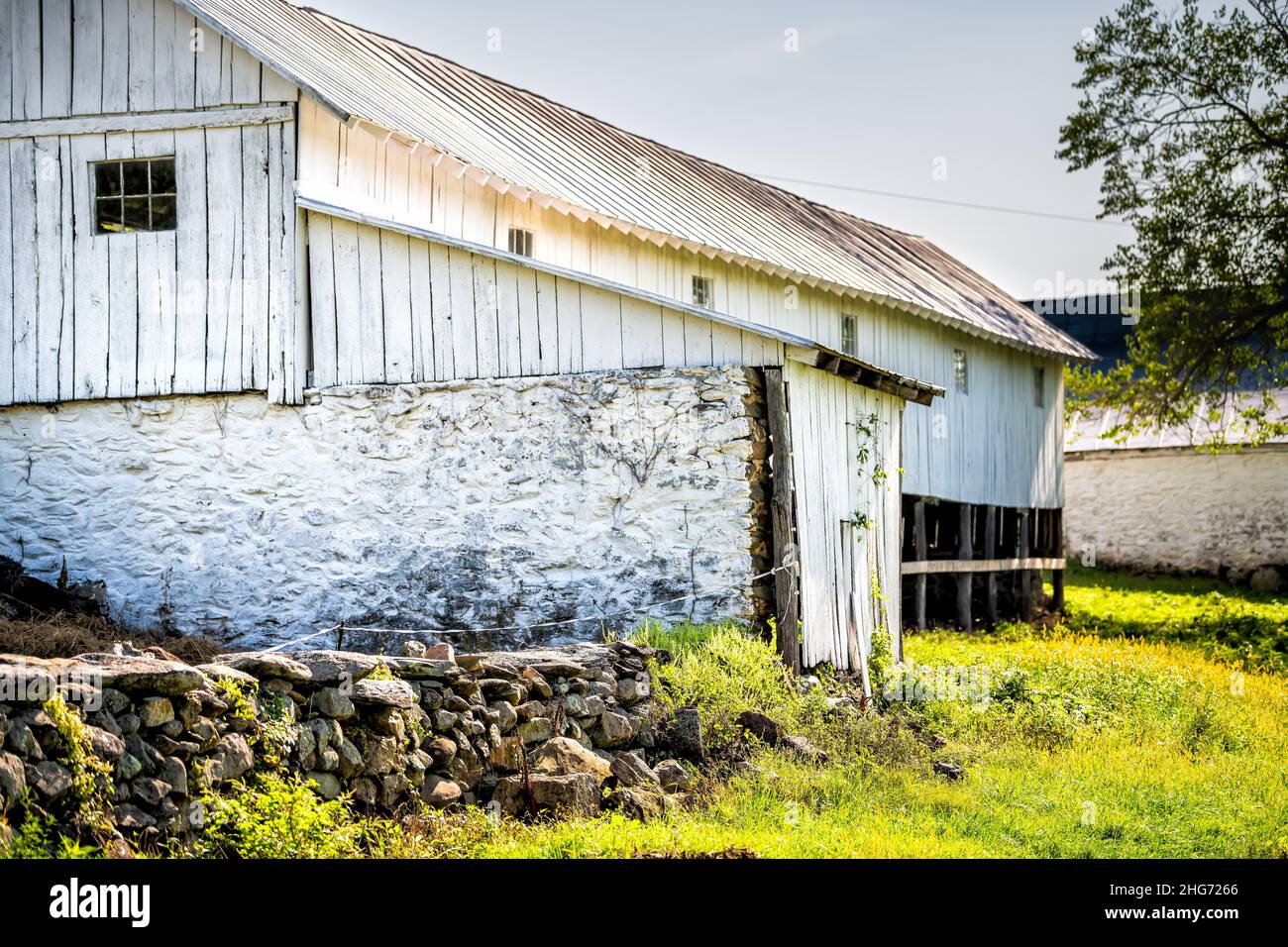 Campagna rurale in Virginia con legno vecchio vintage run-down storico casa colonica bianca casa edificio in fattoria con cantina in pietra su capannone e nobo Foto Stock