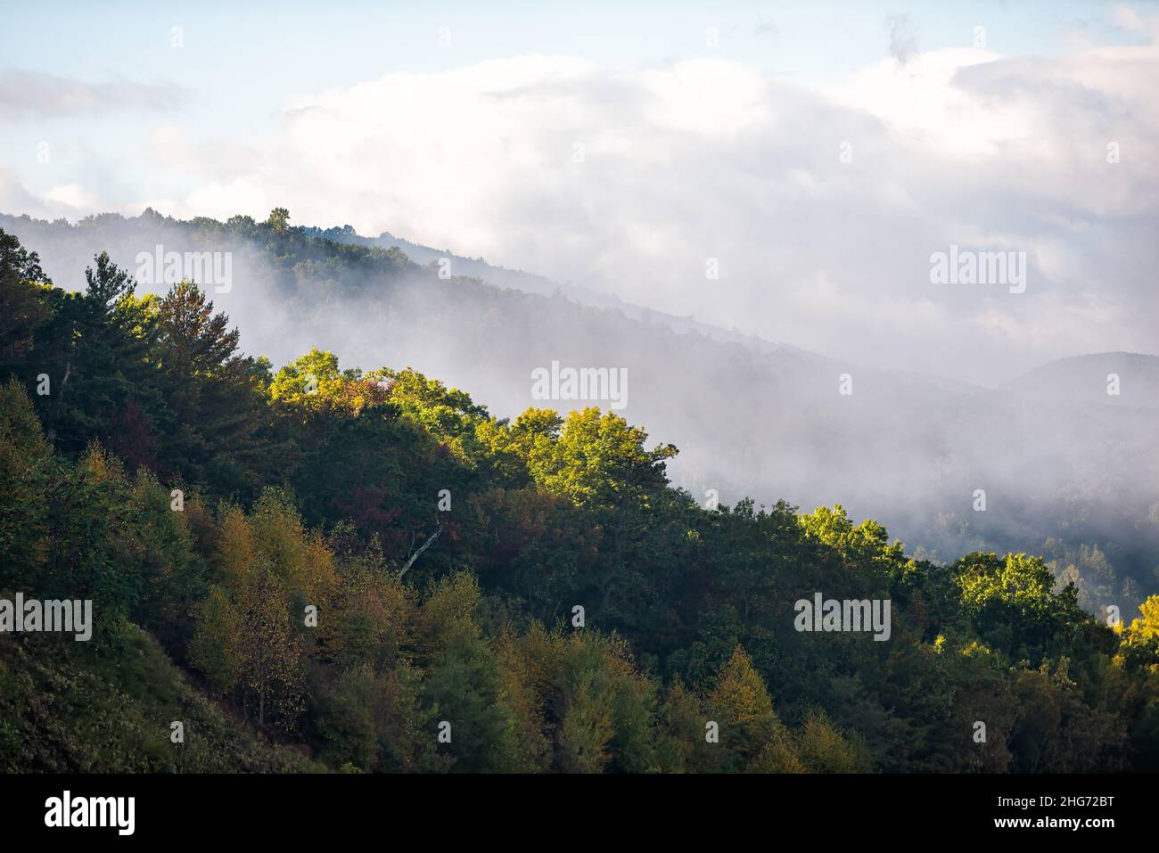 Mattina giallo alba luce del sole nebbia nubi cielo e autunno dorato foglie stagione su strada per Dolly Sodi, West Virginia montagne vicino Wardensv Foto Stock