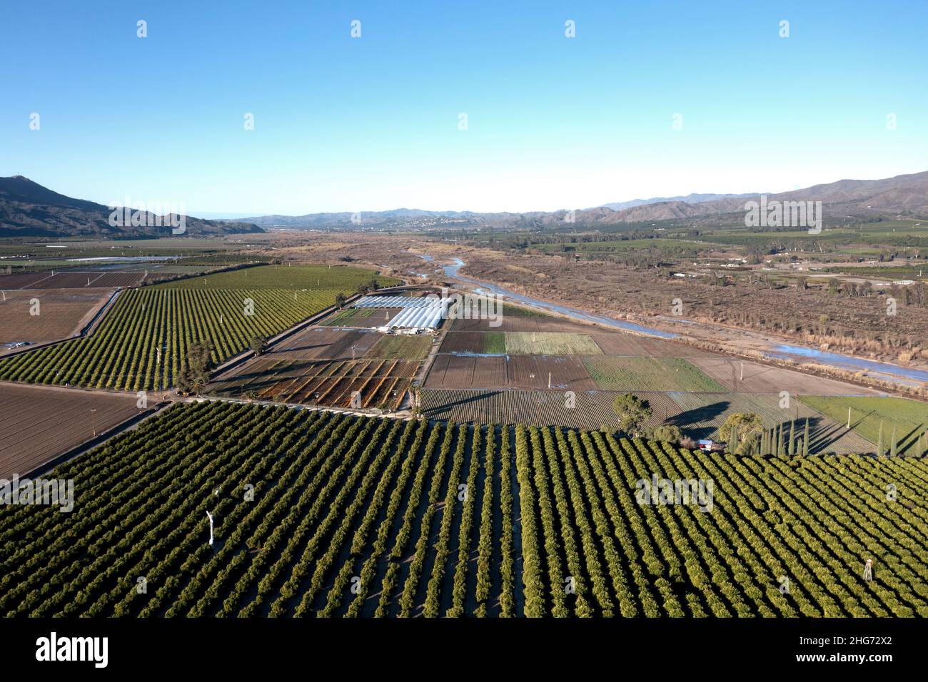 Frutteti e fattorie arancioni nella valle di Santa Clara nella contea di Ventura, California dall'aria Foto Stock