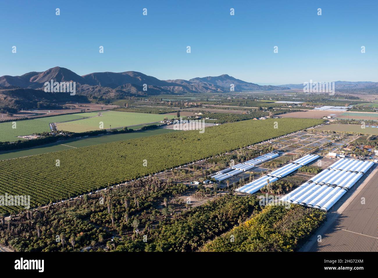 Vista aerea dell'agricoltura nella ricca valle del fiume Santa Clara della contea di Ventura, California Foto Stock