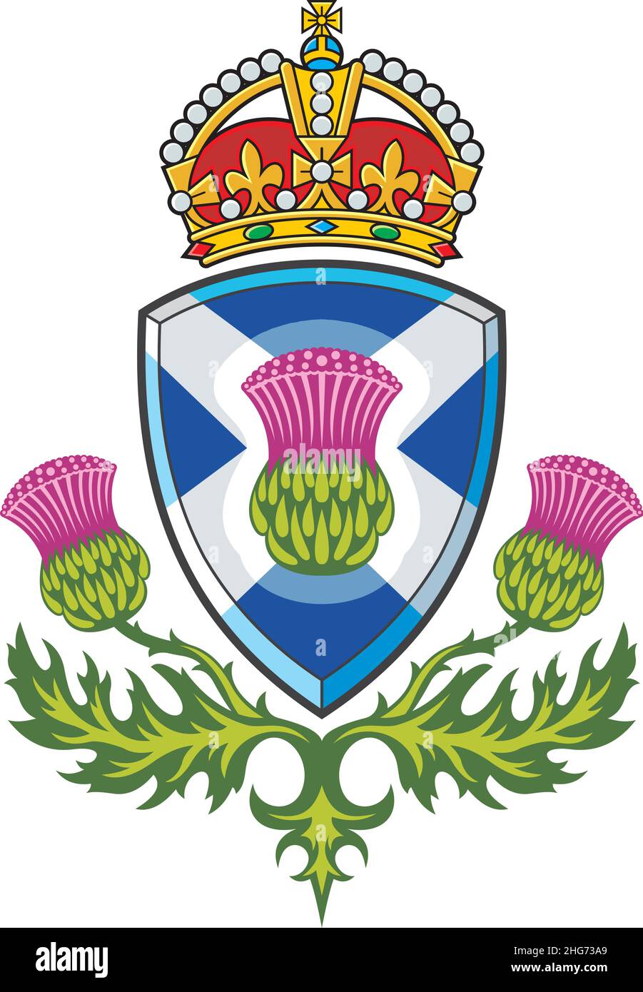 Thistle scozzese .simbolo di Scozia Illustrazione Vettoriale