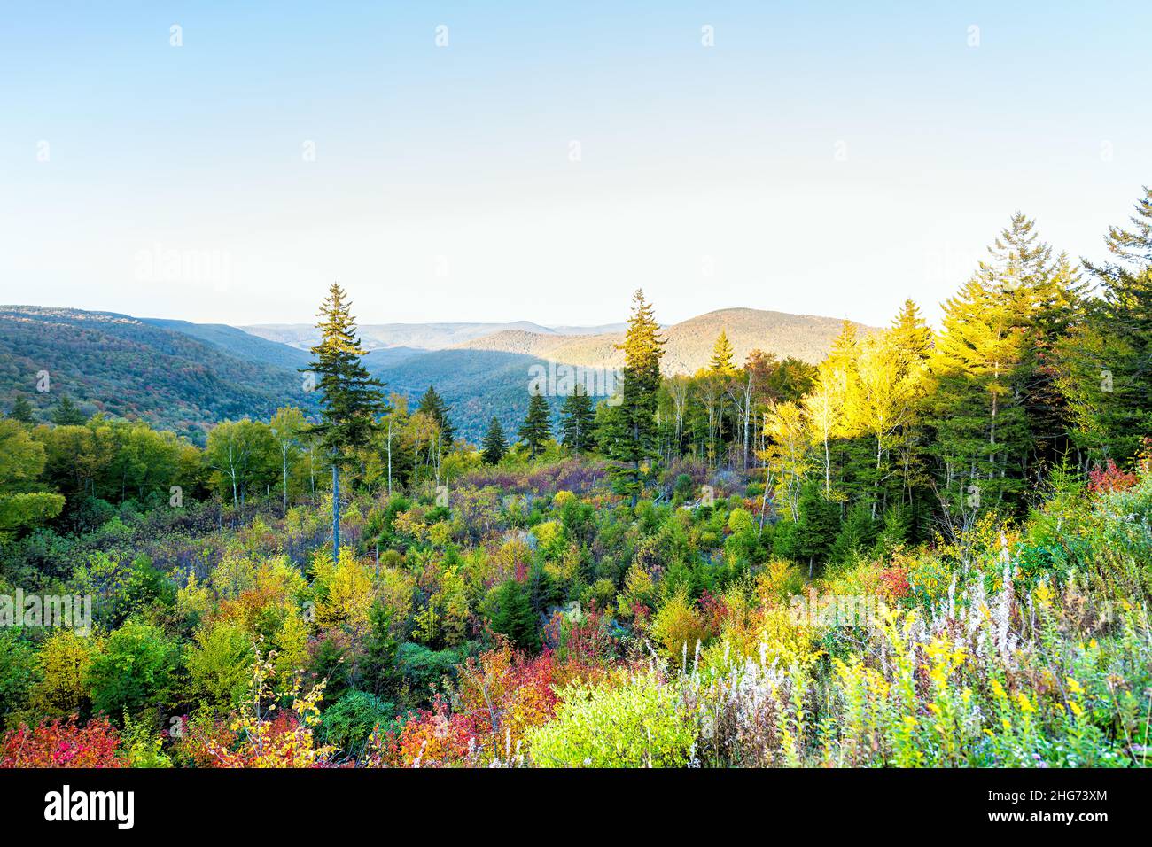West Virginia si affaccia coloratissimo autunno fogliame in Allegheny montagne tramonto da Highland Scenic Highway nella foresta nazionale di Monongahela con rosso Foto Stock