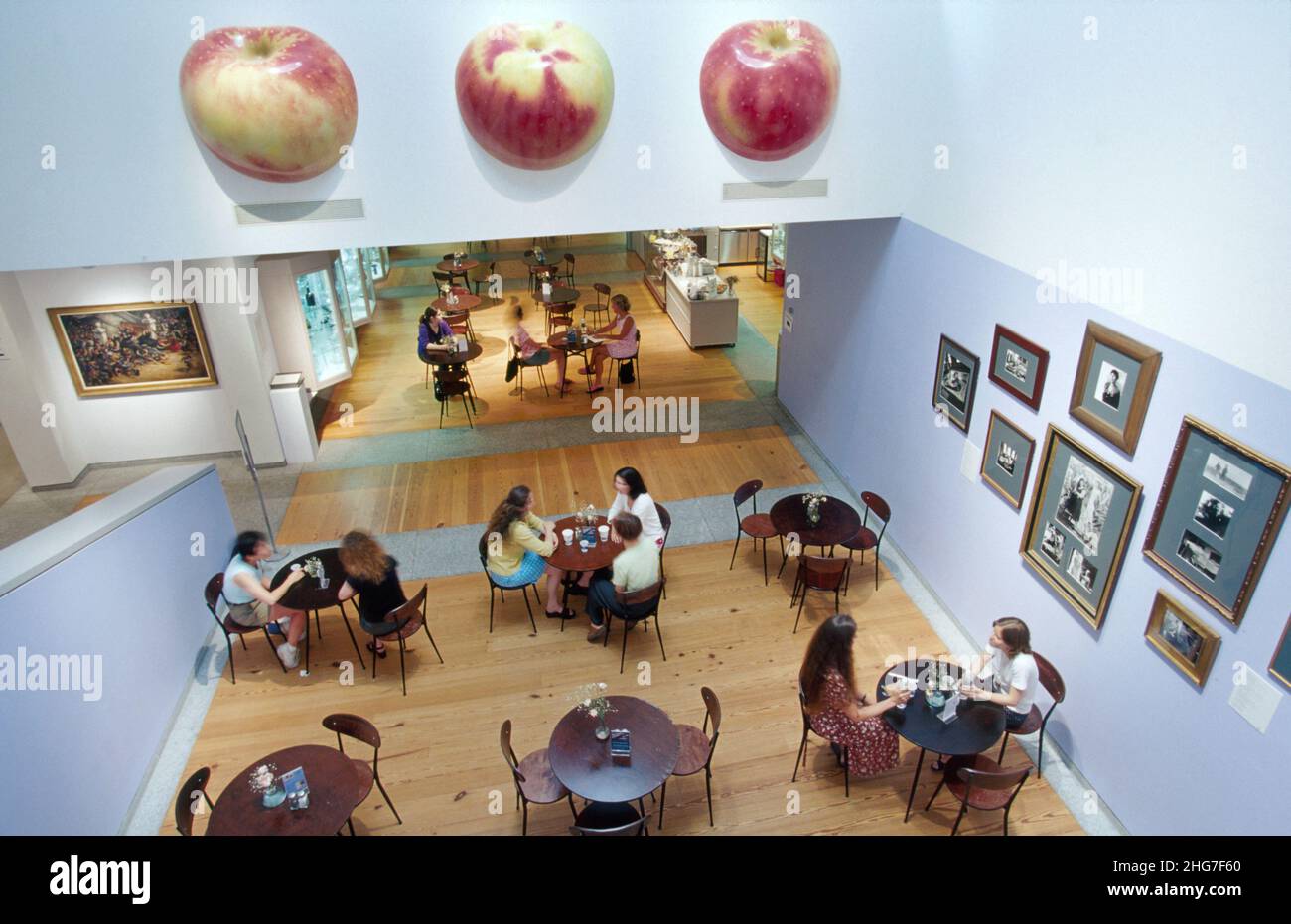 Portland Maine,Portland Museum of Art,storia,mostra collezione,mostra collezione vendita collezione,istruzione,Museum Cafe,ME075 Foto Stock