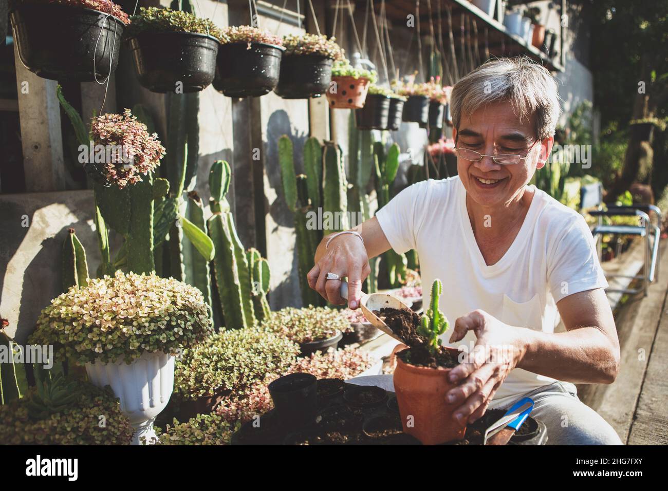 l'uomo anziano asiatico repot cactus cucire nel giardino di casa Foto Stock
