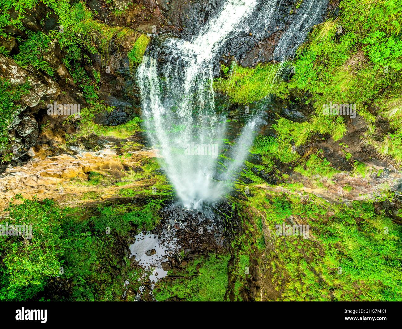 Vista sulla OBI Valley e sulla lussureggiante foresta pluviale sono le attrazioni principali per i visitatori di questa piccola ma significativa foresta rimanente. Foto Stock