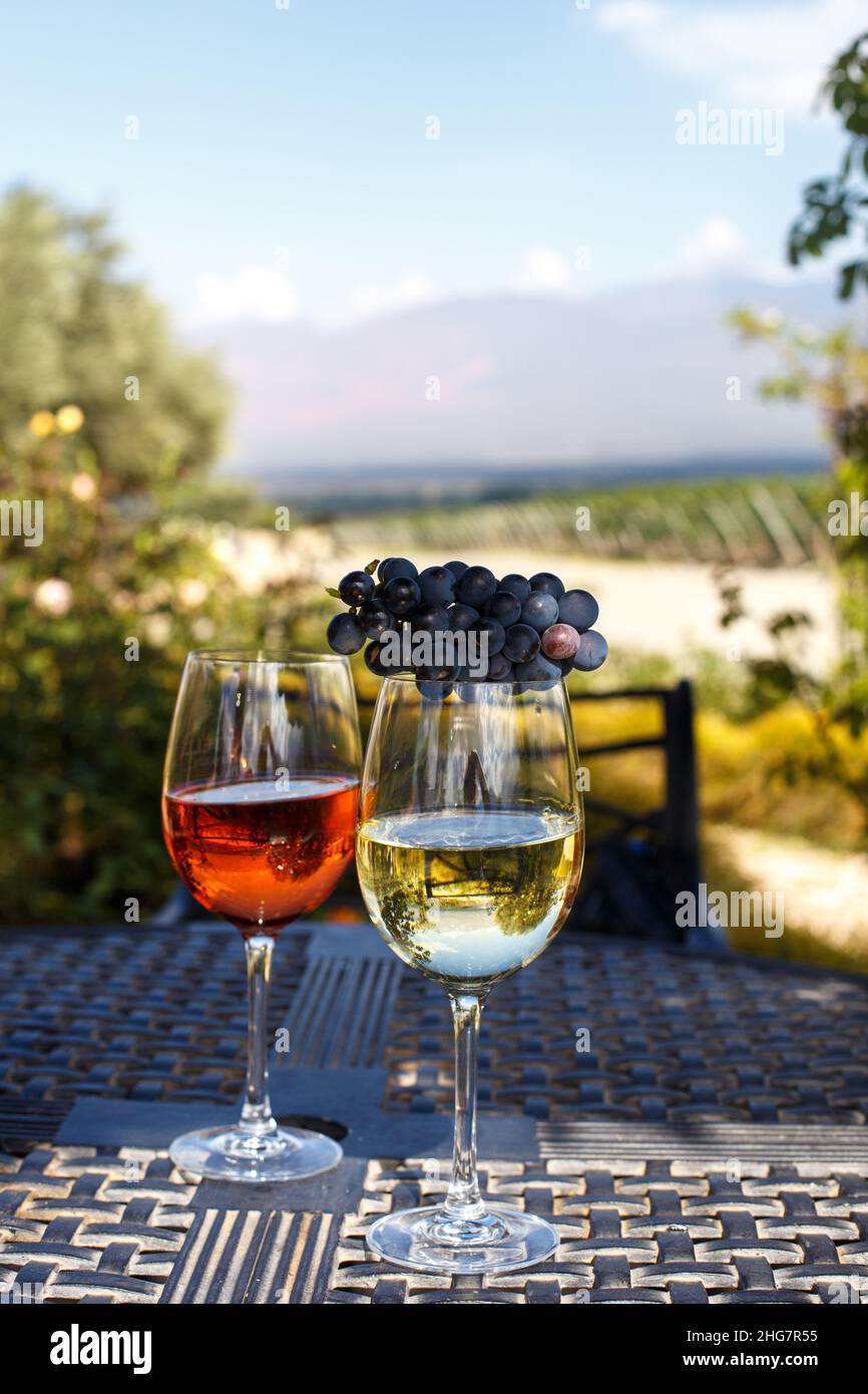 Bicchieri con vino bianco e rosato sullo sfondo dei vigneti Foto Stock
