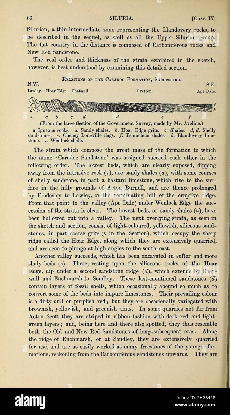 Siluria (pagina 66) Foto Stock