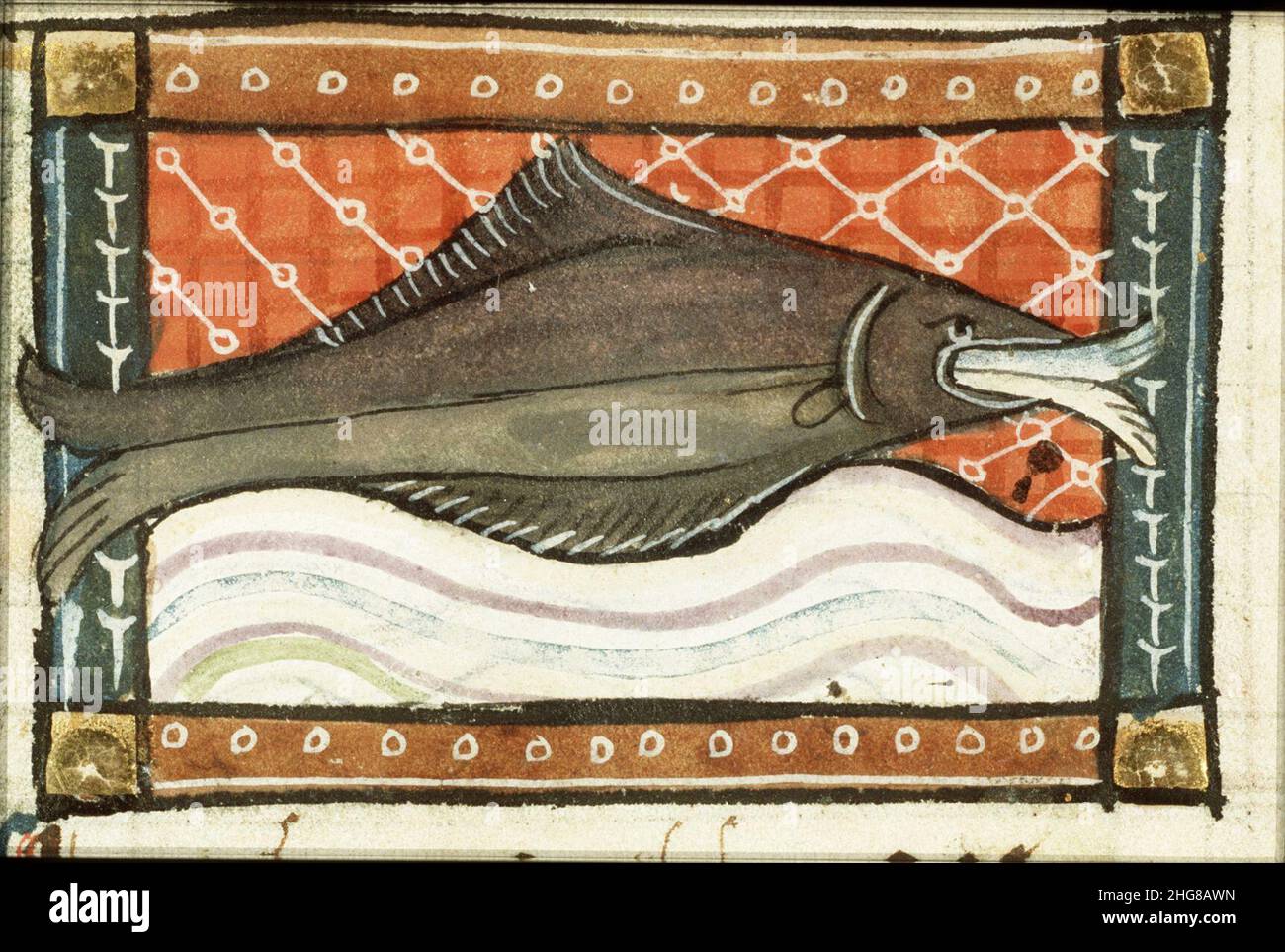 Sinatina (rana pescatrice o pesce angelo) - Der naturen Bloeme - Jacob van Maerlant - KB KA 16 - 120R B1. Foto Stock Sinatina (rana pescatrice o pesce angelo) - Der naturen Bloeme - Jacob van Maerlant - KB KA 16 - 120R B1. Foto Stock