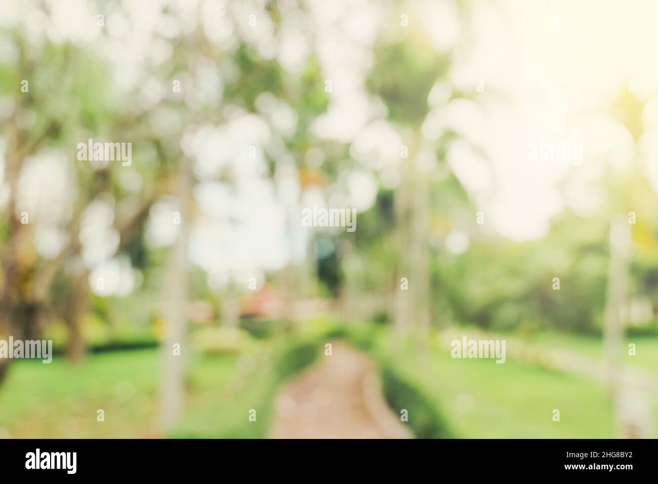 bokeh sfocato e sfondo sfocato di alberi da giardino alla luce del sole con tonalità vintage. Foto Stock