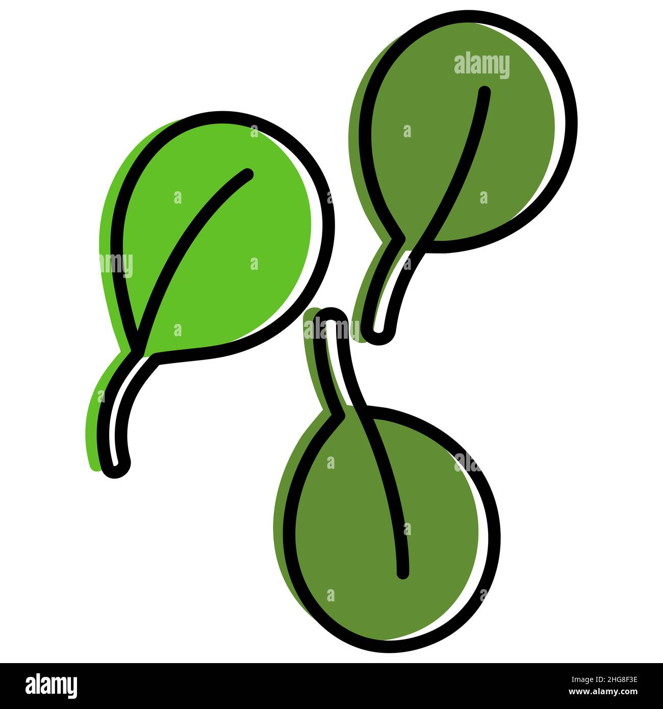 Foglie di spinaci freschi, stilizzate. Illustrazione vettoriale riempita a colori con contorno semplificato per varie composizioni Illustrazione Vettoriale