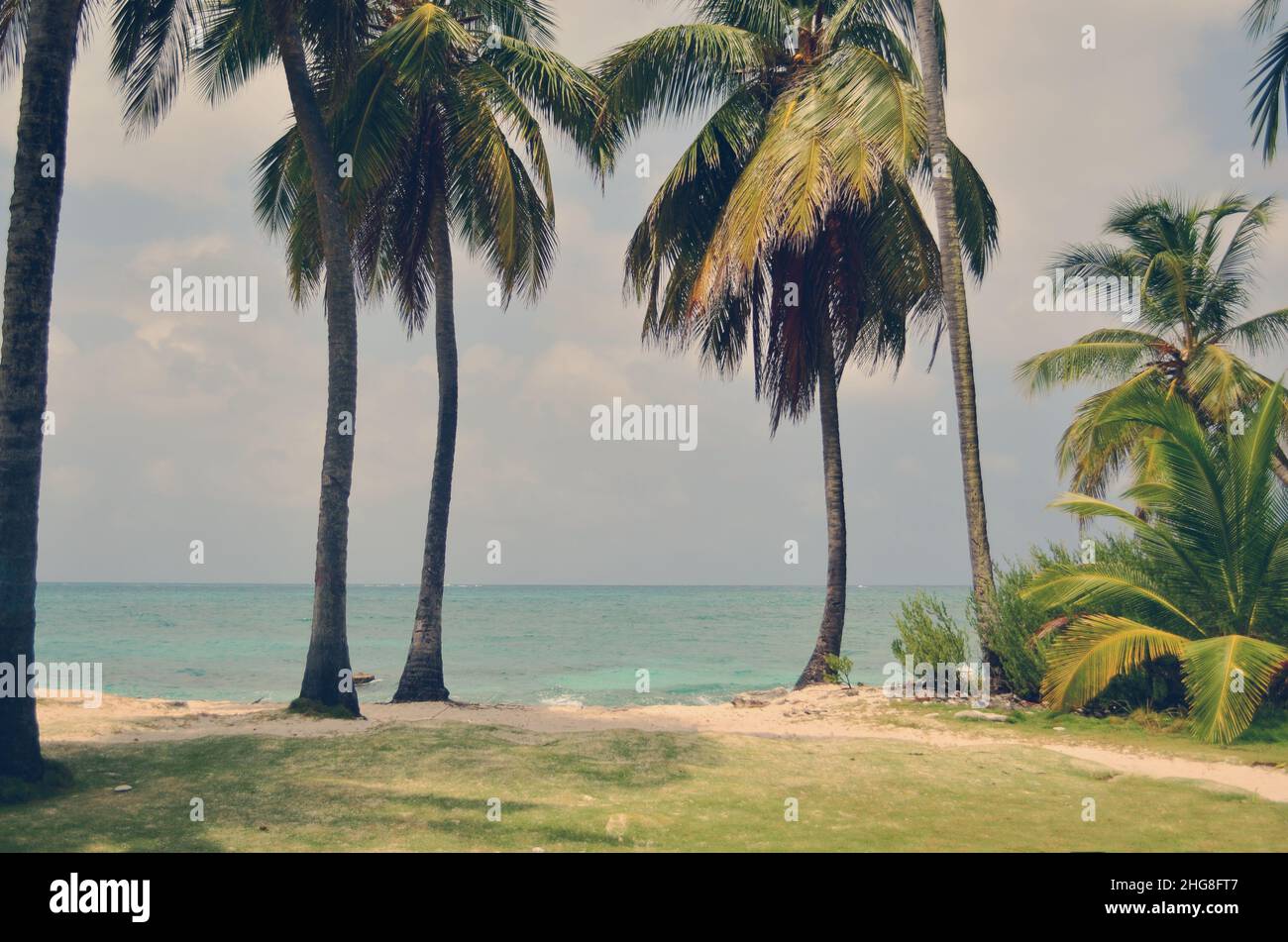 Palme, spiaggia e mare favoloso a Johnny Cay, San Andres, Colombia Foto Stock
